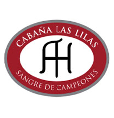 Cabaña Las Lilas